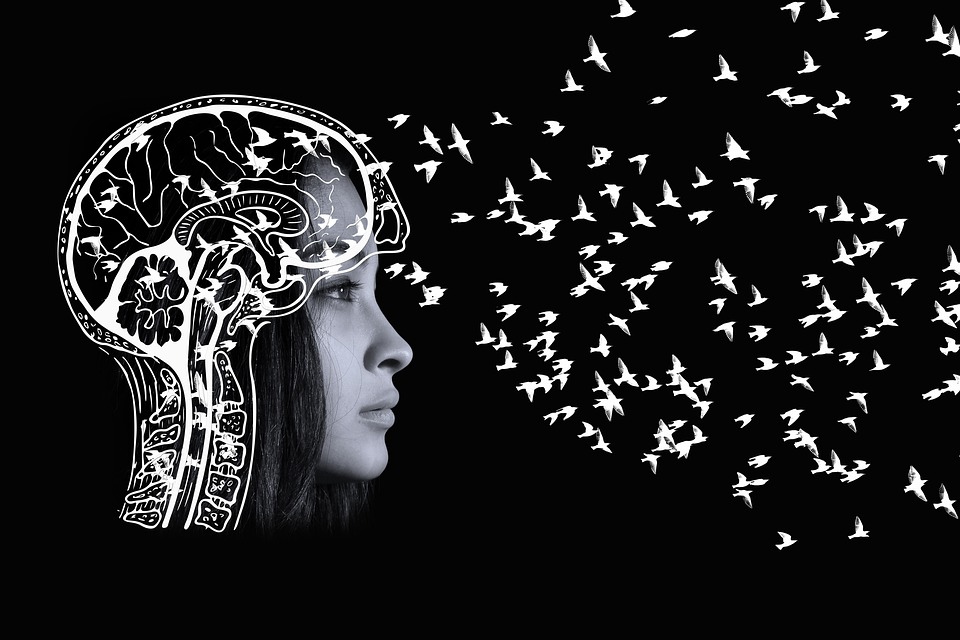 The Female Brain and Success as a Speaker