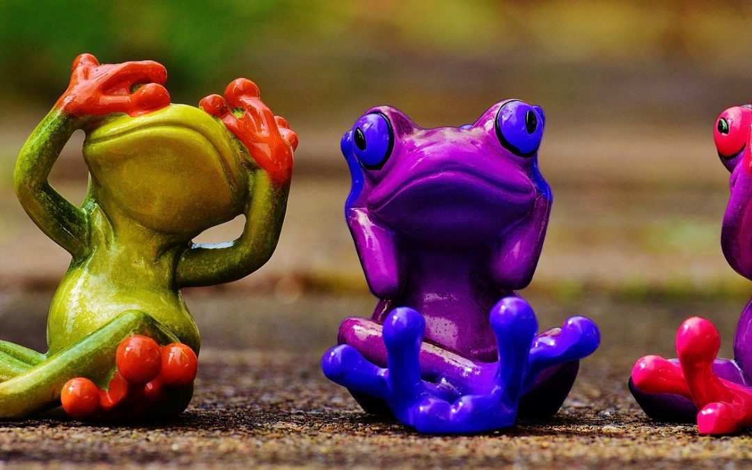 Colourful Frogs